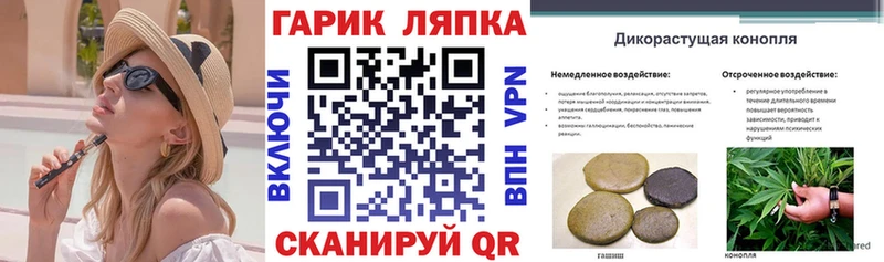 Купить где Ковылкино ГАШ 40% ТГК