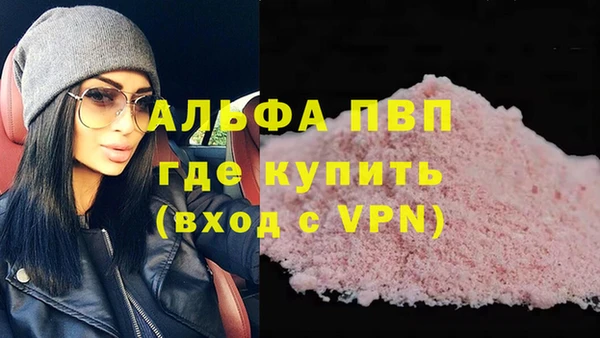 PSILOCYBIN Кукмор