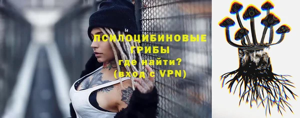 PSILOCYBIN Куйбышев