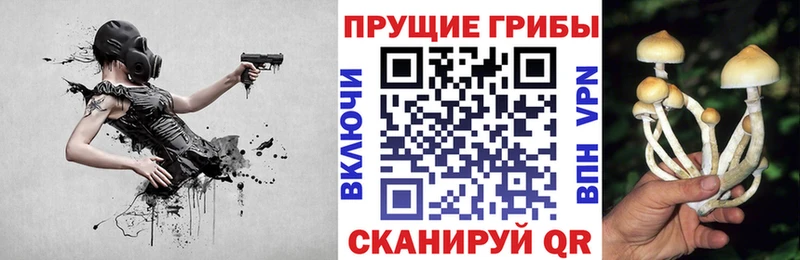 Купить  Ковылкино  Галлюциногенные грибы мухоморы 